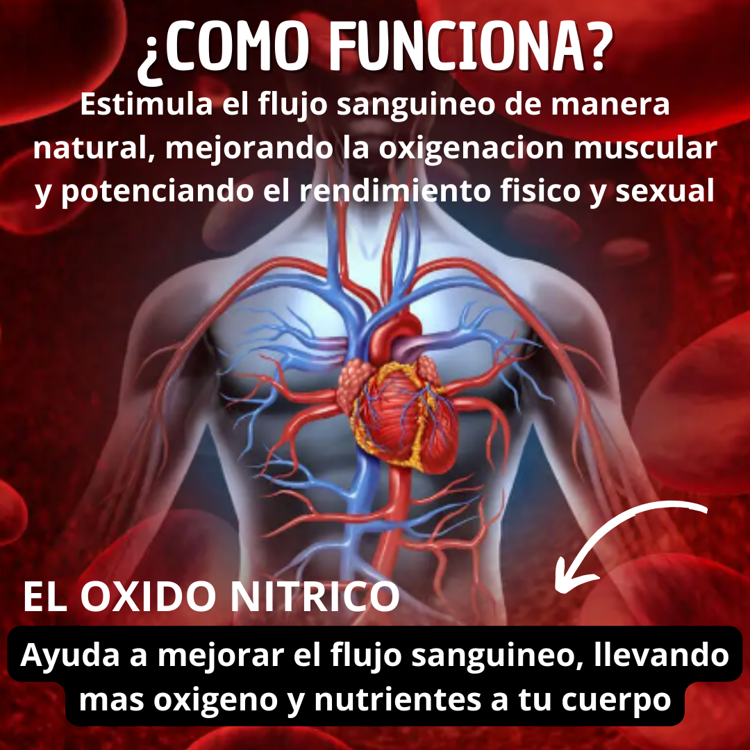 Encabezado